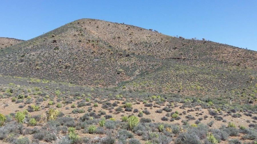 0 Bedroom Property for Sale in Calvinia Rural Northern Cape